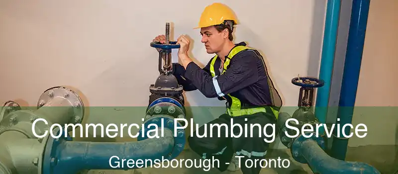 Commercial Plumbing Service Greensborough - Toronto