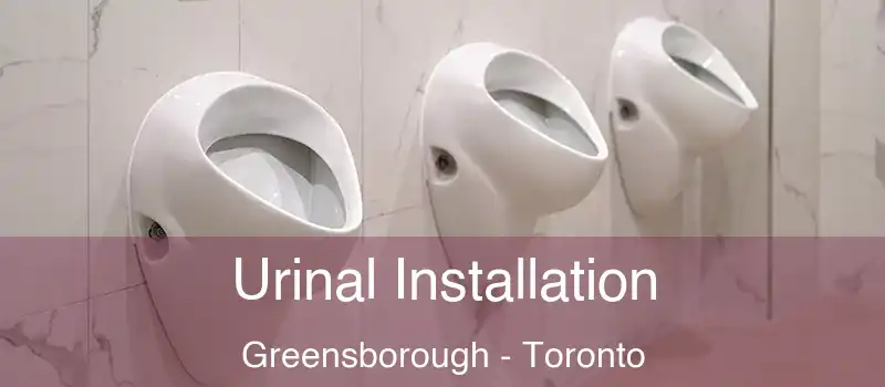 Urinal Installation Greensborough - Toronto